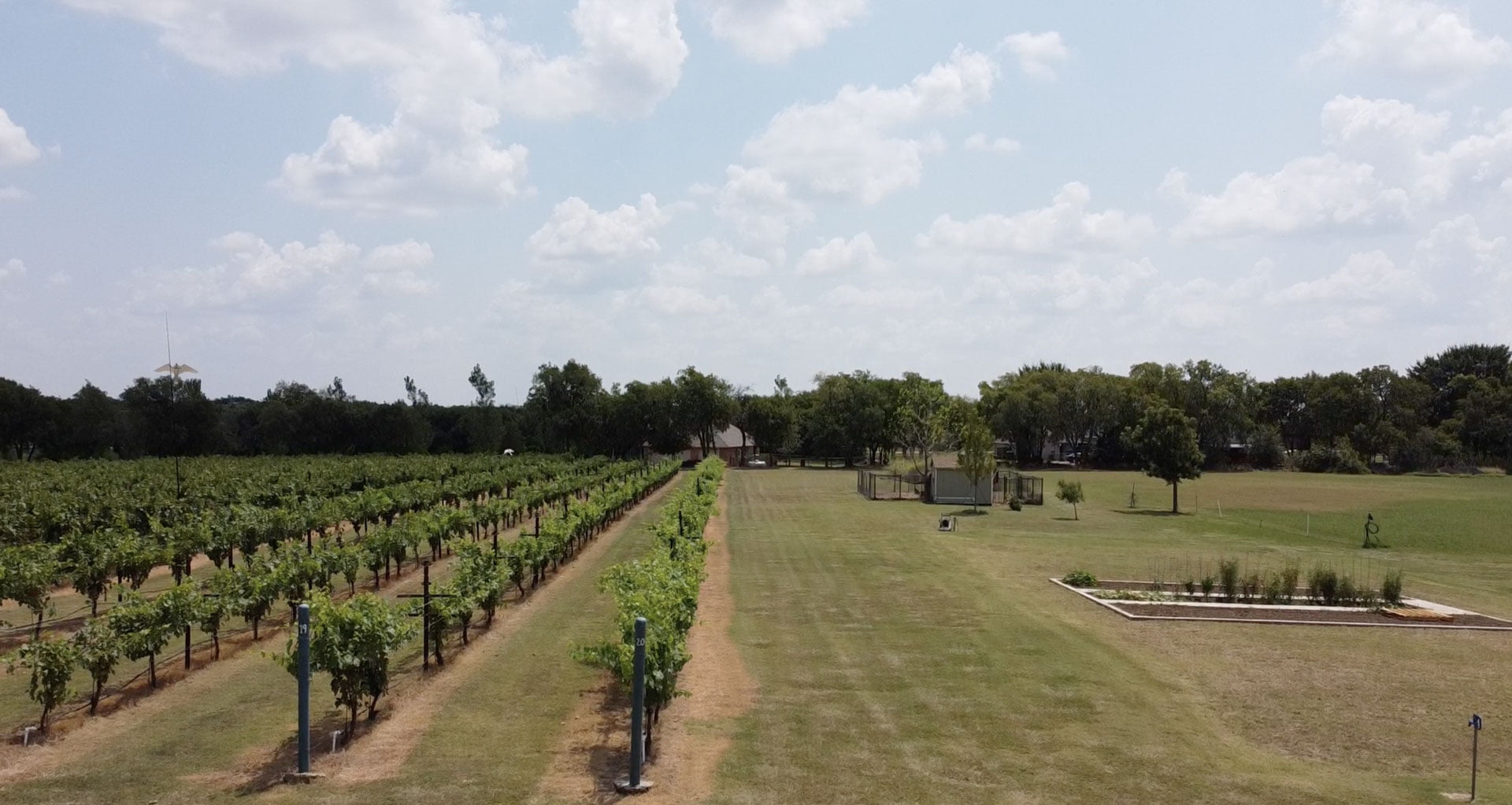 Celina Eden Hill Vineyards and Winery Celina, TX Dallas, Tx